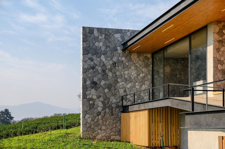modern-luxury-building-with-wood-rock-plantation_49071-8894.jpg